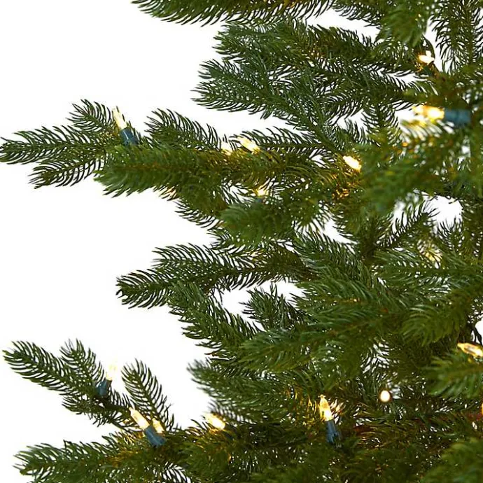 Best Kirklands Home 7.5 ft. Clear Lit Fairbanks Fir Christmas Tree