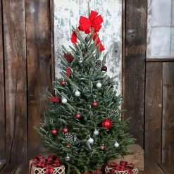 Outlet Kirklands Home 5 ft. Fresh Cut Fraser Fir Christmas Tree