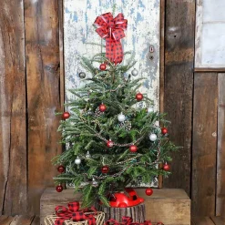 Outlet Kirklands Home 4 ft. Fresh Fraser Fir Christmas Tree with Stand