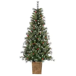 Outlet Kirklands Home 6 ft. Lit Glazier Pine Planter Christmas Tree