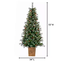 Outlet Kirklands Home 6 ft. Lit Glazier Pine Planter Christmas Tree