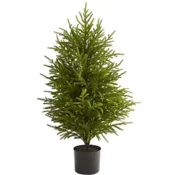 Best Kirklands Home 3 ft. Norfolk Island Pine Potted Christmas Tree Green