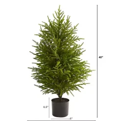 Best Kirklands Home 3 ft. Norfolk Island Pine Potted Christmas Tree Green