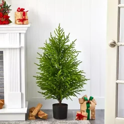 Best Kirklands Home 3 ft. Norfolk Island Pine Potted Christmas Tree Green