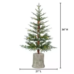 Discount Kirklands Home 3 ft. Pre-Lit Cut Frosted Pine Christmas Tree