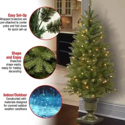 Best Kirklands Home 4 ft. Pre-Lit Dunhill Fir Potted Christmas Tree