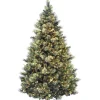 Sale Kirklands Home 9 ft. Pre-Lit Flocked Carolina Pine Christmas Tree