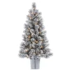 Clearance Kirklands Home 4.5 ft. Pre-Lit Flocked Potted Pine Christmas Tree