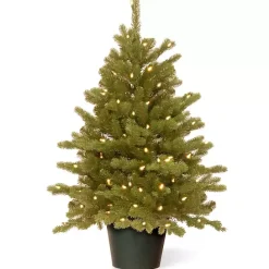 Discount Kirklands Home 3 ft. Pre-Lit Hampton Spruce Potted Christmas Tree Green
