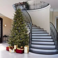 Online Kirklands Home 5.5 ft. Pre-Lit Itasca Fraser Christmas Tree