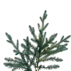 Online Kirklands Home 5.5 ft. Pre-Lit Itasca Fraser Christmas Tree