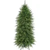 Online Kirklands Home 5 ft. Pre-Lit Natural Touch Norfolk Christmas Tree