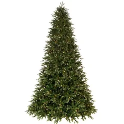 Outlet Kirklands Home 6.5 ft. Warm LED Douglas Fir Christmas Tree