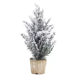 Sale Kirklands Home 12 in. Potted Snowy Pine Trees, Set of 6