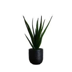 Outlet Kirklands Home Agave Arrangement in Black Decorative Pot