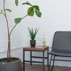 Outlet Kirklands Home Agave Arrangement in Black Decorative Pot