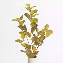 Online Kirklands Home Antique Eucalyptus Stems, Set of 2 Green