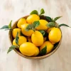 Outlet Kirklands Home Artificial Lemons, Set of 12