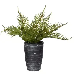 Online Kirklands Home Asparagus Fern in Tall Black Planter