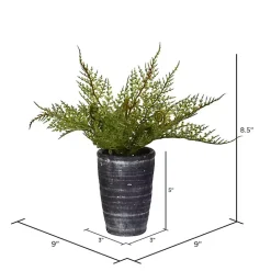 Online Kirklands Home Asparagus Fern in Tall Black Planter