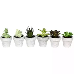 Clearance Kirklands Home Assorted Potted Succulent Arrangements, Set of 6