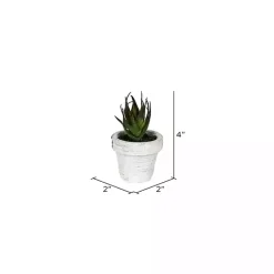 Clearance Kirklands Home Assorted Potted Succulent Arrangements, Set of 6