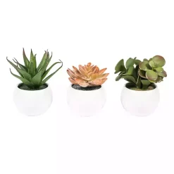 Clearance Kirklands Home Assorted Succulents in White Planters, Set of 3