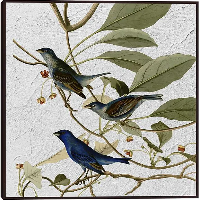 Discount Kirklands Home Audubon Indigo Bird Framed Canvas Art Print