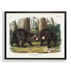 Discount Kirklands Home Audubon Woodland Bears Framed Art Print