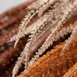 Clearance Kirklands Home Autumn Feather Grass Stems, Set of 3