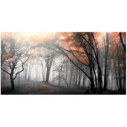 Best Kirklands Home Autumn Woods Giclee Canvas Art Print