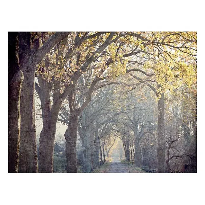 Sale Kirklands Home Avenue Of Trees Canvas Art Print