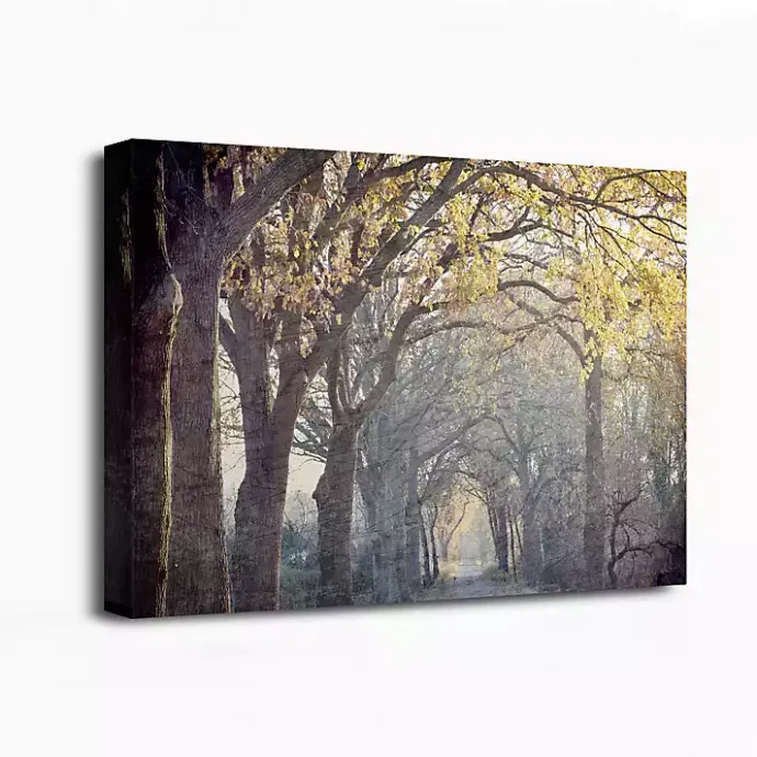 Sale Kirklands Home Avenue Of Trees Canvas Art Print
