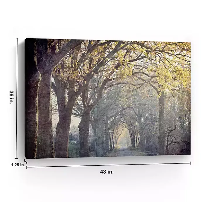 Sale Kirklands Home Avenue Of Trees Canvas Art Print