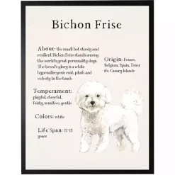 Best Kirklands Home Bichon Frise Facts Framed Wall Plaque