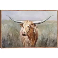 Clearance Kirklands Home Big Sky Longhorn Framed Canvas Art Print