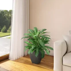 Clearance Kirklands Home Birdnest Palm Tree in Black Planter