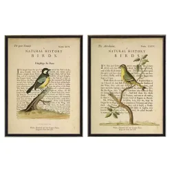 Sale Kirklands Home Birds Diagram III Framed Art Prints, Set of 2 Ivory