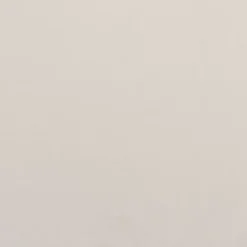 Kirklands Home Black & Cream Modern Dining Chairs, Set of 2 White