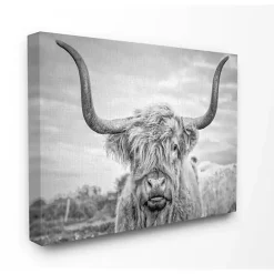 New Kirklands Home Black and White Highland Cow Canvas Art Print