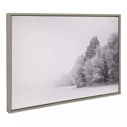 Discount Kirklands Home Black and White Snow Day Framed Canvas Art Print