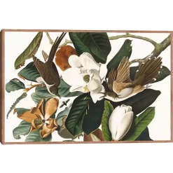 Clearance Kirklands Home Black Billed Cuckoo Framed Canvas Art Print Multi
