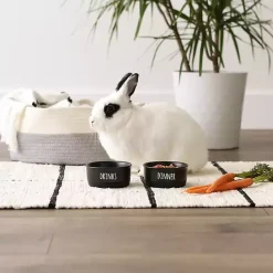 Outlet Kirklands Home Dinner & Drinks 2-pc. Pet Bowl Set, 4 in. Black