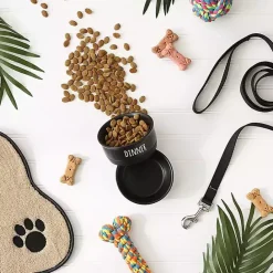 Outlet Kirklands Home Dinner & Drinks 2-pc. Pet Bowl Set, 4 in. Black