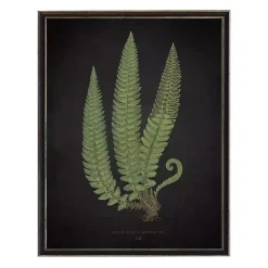 Best Kirklands Home Black Fern I Framed Art Print