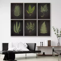 Best Kirklands Home Black Fern I Framed Art Print