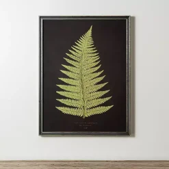 Discount Kirklands Home Black Fern IV Framed Art Print