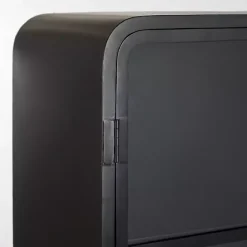 Best Kirklands Home Metal & Glass 2-Door Bentley Cabinet Black