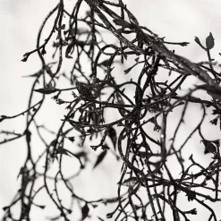 Discount Kirklands Home Twig Banner Garland Black