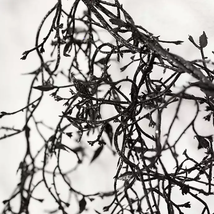 Discount Kirklands Home Twig Banner Garland Black